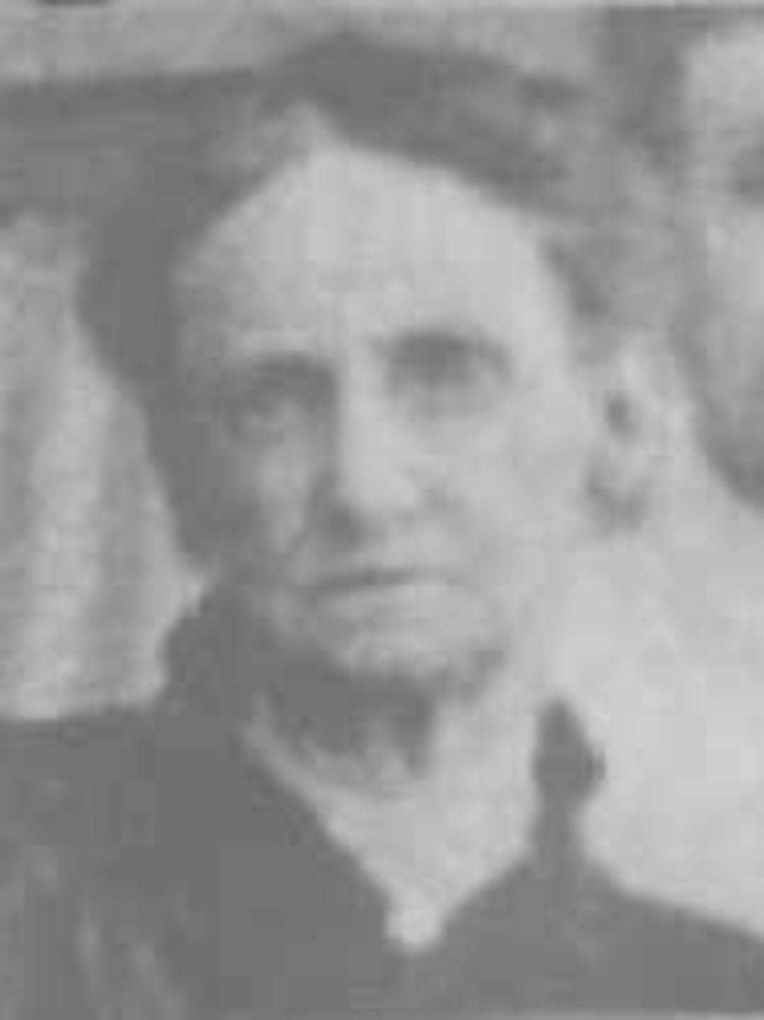 Ellen Boardman (1850 - 1921) Profile